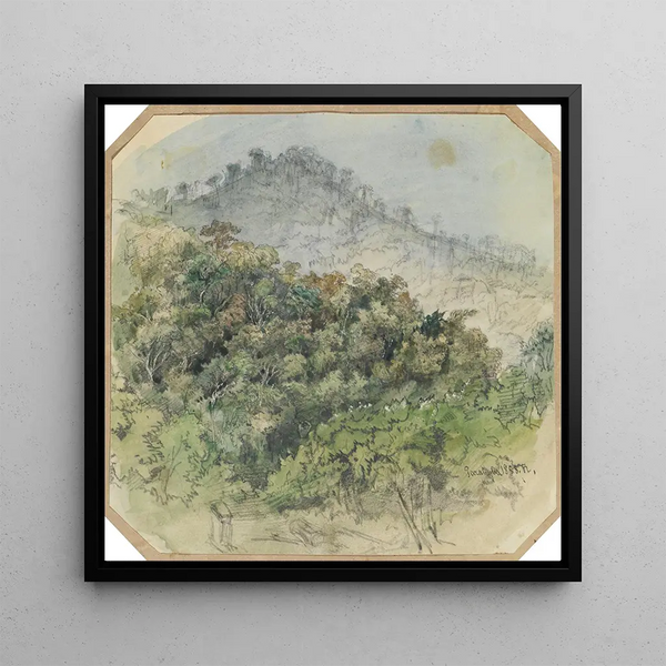 Vue de la forêt vierge dans les montagnes - Ferdinand Keller