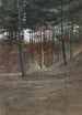 Een hoekje van het bos van Hardelot - Walter Crane — weergave van het kunstwerk