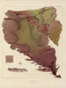 Botanisch Cryptogamisch Schilderij van de reis naar Antarctica van de schepen HM Discovery Erebus en Terror in de jaren 1839 Pl17 - Walter Hood Fitch — weergave van het kunstwerk