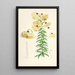 Lilium Monadelphum - Walter Hood Fitch — ingelijst kunstwerk aan de muur