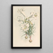 Lilium Philipinense - Walter Hood Fitch — ingelijst kunstwerk aan de muur