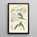 Lilium auratum - Walter Hood Fitch — ingelijst kunstwerk aan de muur