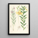 Lilium oxypetalum - Walter Hood Fitch — ingelijst kunstwerk aan de muur