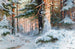 Winter Landscape Painting - Walter Moras — artwork view