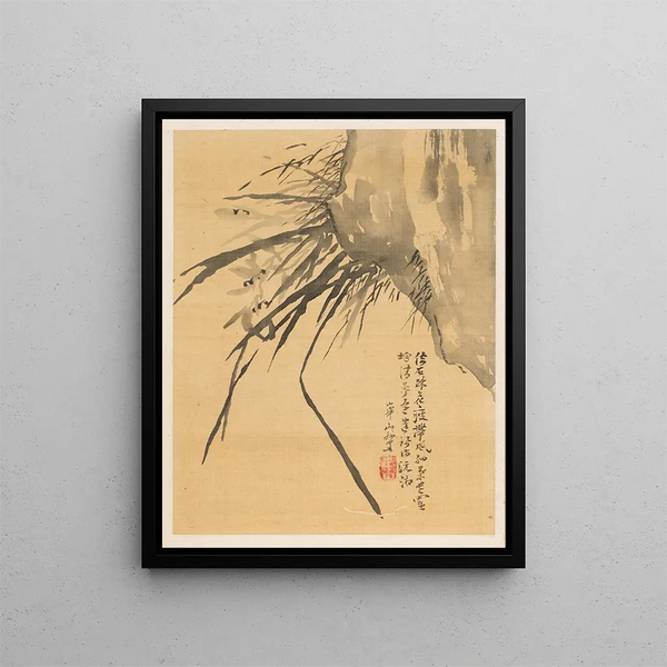 Watanabe Kazan - Orchid.webp