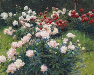 Wilhelm Bernatzik - Pfingstrosen.webp