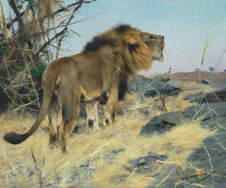 Wilhelm Kuhnert - Roaring Lion.webp