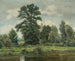 Landschap van moeras - Wilhelm Legler — weergave van het kunstwerk