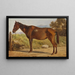 Rosinante, studie van een oude staande paard - Wilhelm Marstrand — ingelijst kunstwerk aan de muur