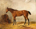 Een bruin paard in een stallen met een zadeldek - Wilhelm Richter — weergave van het kunstwerk