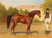 Paardensport schilderij met een hoefsmid uit Hongarije - Wilhelm Richter — weergave van het kunstwerk