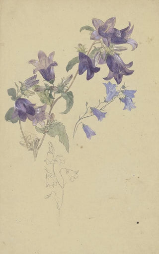 Wilhelm Steinhausen - Bluebells.webp