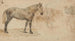 Studie van een paard - Willem Carel Nakken — weergave van het kunstwerk