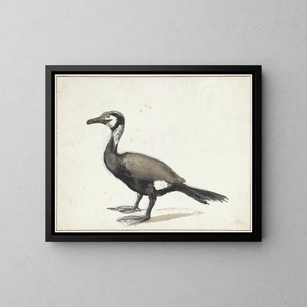 Cormoran - Willem Roelofs — ingelijst kunstwerk aan de muur