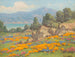 van een kustzicht met klaprozen en lupines - William Franklin Jackson — weergave van het kunstwerk