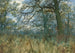 Bomen en onderbos - William Fraser Garden — weergave van het kunstwerk