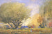 Zomerscène - William Henry Holmes — weergave van het kunstwerk