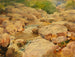 Le Potomac paisible - William Henry Holmes — weergave van het kunstwerk