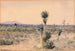 Yuccaland Chihuahua, Mexico - William Henry Holmes — weergave van het kunstwerk
