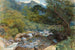 op East Lyn, North Devon - William Henry Millais — weergave van het kunstwerk