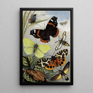 William Houghton - Lepidoptera.webp