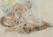 Study of Tigers - William Huggins — artwork view