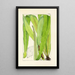 A Century of Ferns Pl95 - William Jackson Hooker — framed artwork on a wall