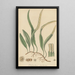 Polypodium pertusum - William Jackson Hooker | Schilderij — ingelijst kunstwerk aan de muur