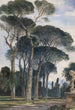 Pins parasols in Villa Borghèse Rome - William James Müller — weergave van het kunstwerk
