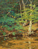 op de rivier Swift Tamworth NH - William Johnson Bixbee — weergave van het kunstwerk