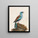 Talking Roll Painting - William Lewin — framed artwork on a wall