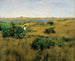 Zomer in Shinnecock Hills - William Merritt Chase — weergave van het kunstwerk