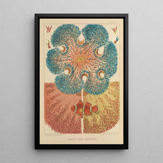 William SavilleKent - Barrier Reef Anemones.webp