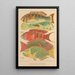 Fish of the Great Barrier Reef - William Saville-Kent — framed artwork on a wall