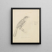 Een vogel - William Swainson — ingelijst kunstwerk aan de muur