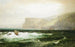 Côte de Tintagel - William Trost Richards — weergave van het kunstwerk