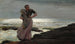Een licht op de zee - Winslow Homer — weergave van het kunstwerk