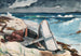 Na de orkaan Bahamas - Winslow Homer — weergave van het kunstwerk