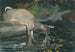 Hert drinkend - Winslow Homer — weergave van het kunstwerk