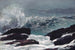 Côte du Maine - Winslow Homer — weergave van het kunstwerk