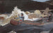 Descente des rapides, rivier Saguenay - Winslow Homer — weergave van het kunstwerk