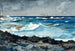 Rivage en surfen in Nassau - Winslow Homer — weergave van het kunstwerk