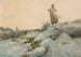 De Hooiersvrouw - Winslow Homer — weergave van het kunstwerk