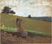 De groene heuvel - Winslow Homer — weergave van het kunstwerk