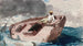 Le Gulf Stream - Winslow Homer — weergave van het kunstwerk