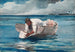L'éventail d'eau - Winslow Homer — weergave van het kunstwerk