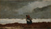 Twee figuren bij de zee - Winslow Homer — weergave van het kunstwerk