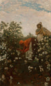 Katoen uit de Hooglanden - Winslow Homer — weergave van het kunstwerk