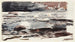 Ruisseau forestier - Winslow Homer — weergave van het kunstwerk
