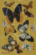 Butterflies - Wu Shujun — artwork view